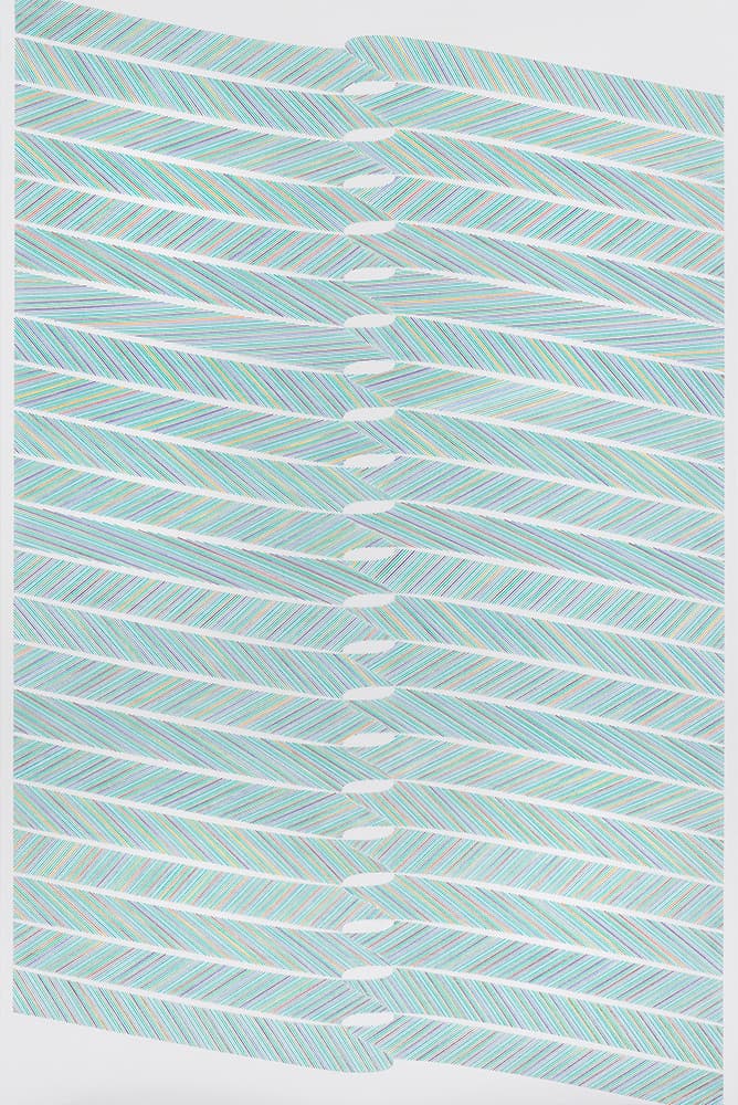 Penetrable Net 01-21, 145x97cm, Colored Pencil on Canvas, 2021