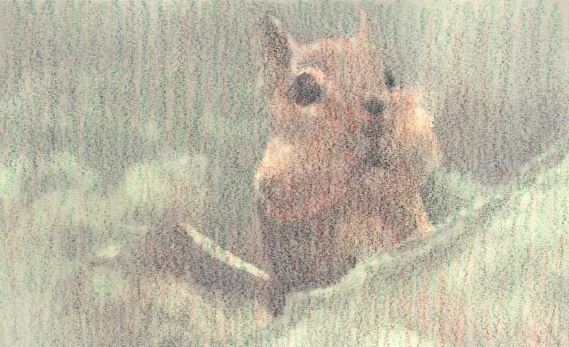 장종완, 냄새 Smell, 2017, 단채널영상 Single channel video, 16.9, Stereo sound 이미지제공 : 아라리오갤러리