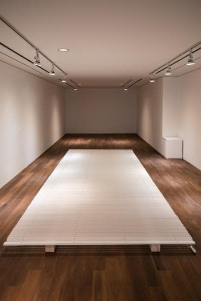 김대현, 신혜주, ///////, 목재, 200x600x10(h)cm, 2019