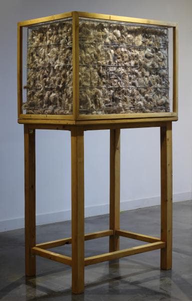 황민규, 남겨진 흔적, 유기견 털, 케이지, 각목, 아크릴, 76x51x162cm, 2016