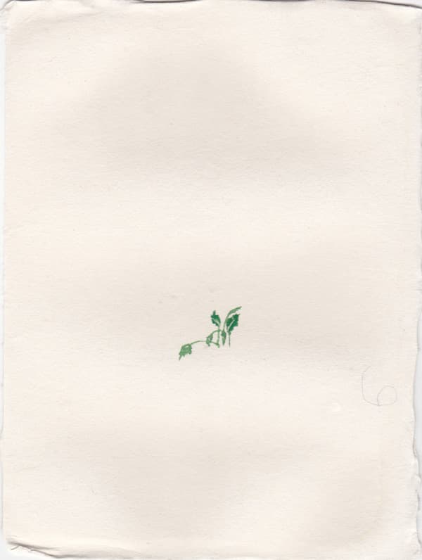 박명미, 새 풀_장지에 채색_20.2X15.1cm_2017