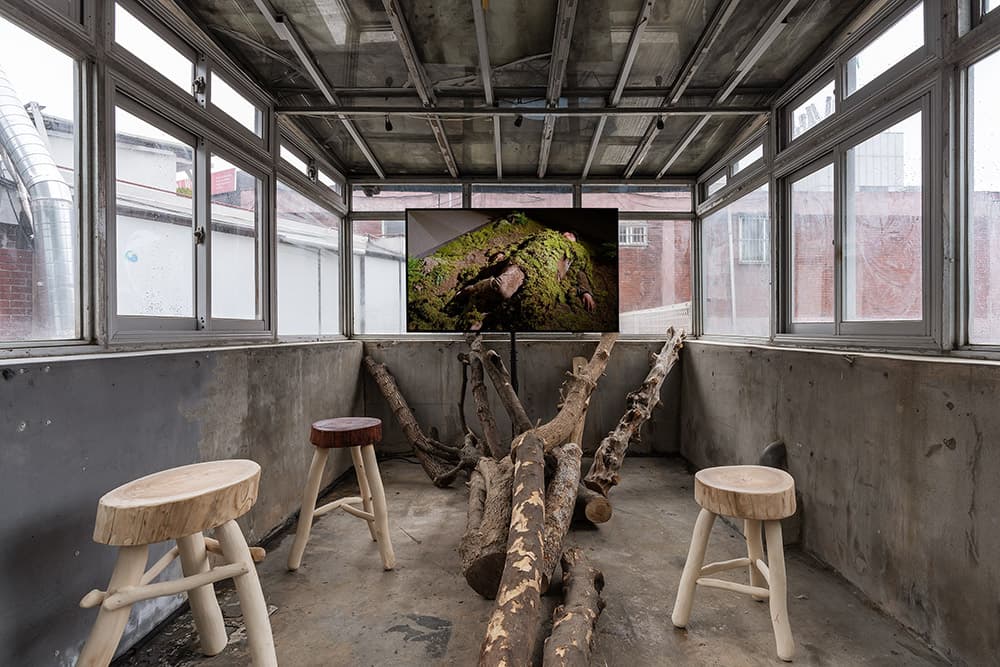오선영_Terrarium_2021_단채널 비디오_혼합재료_40분