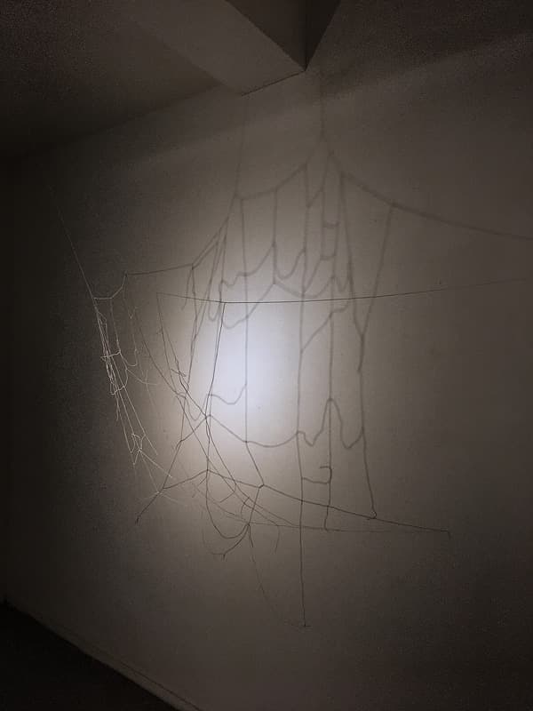 박소현_내가 보는 세상, 네가 보는 세상_실, 페인트, 조명_가변설치_2019