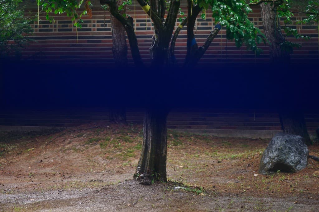 Untitled, 16 X 24cm, White Inkjet film, 2014