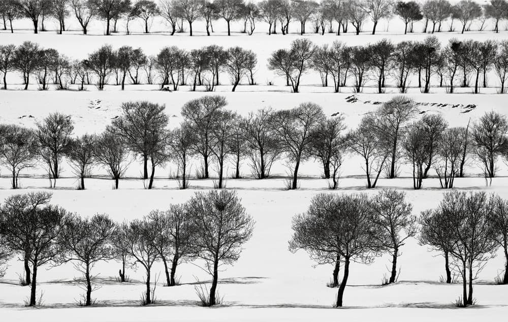 Snow No.44, 57 x 90 cm, Digital print on rag paper, 2002