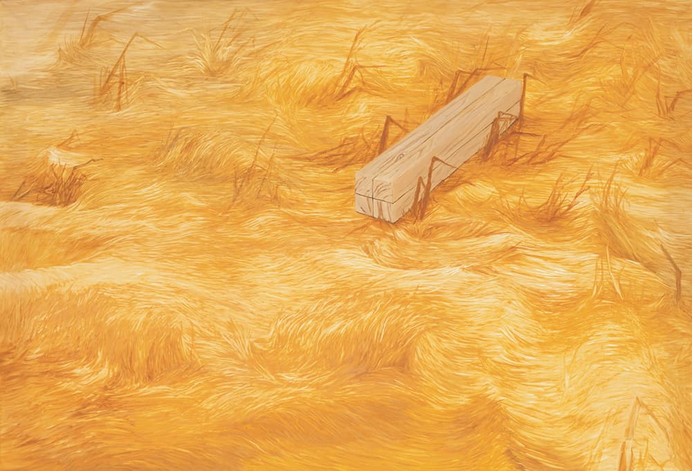 이해민선, 사이, 캔버스 위에 오일, 112×162cm, 2011 (each)