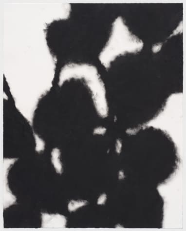 Untitled, 2017, Oil pastel on paper, 70x56cm