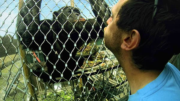 침팬지 콤플렉스 The Chimpanzee Complex, 마크 슈미트, 75분, 2014