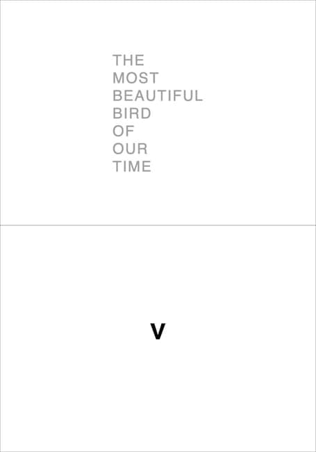 마음이 시키는 일 5 - Affair de coeur 5 ; the most beautiful bird of our time 1