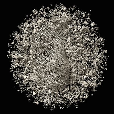 Dujin Kim, Mask, 2017, 3D Digital Painting, 150 x 150 cm, Ed.3+Ap.2