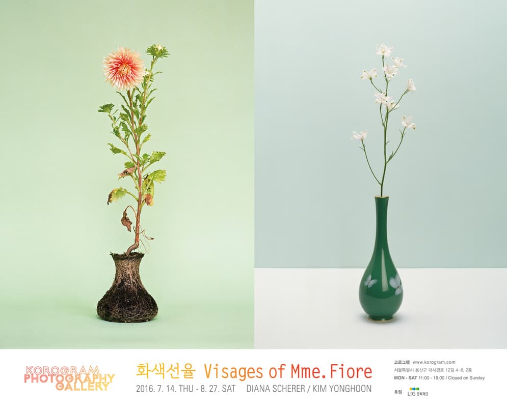 김용훈, Diana Scherer : 화색선율, Visages of Mme. Fiore 1