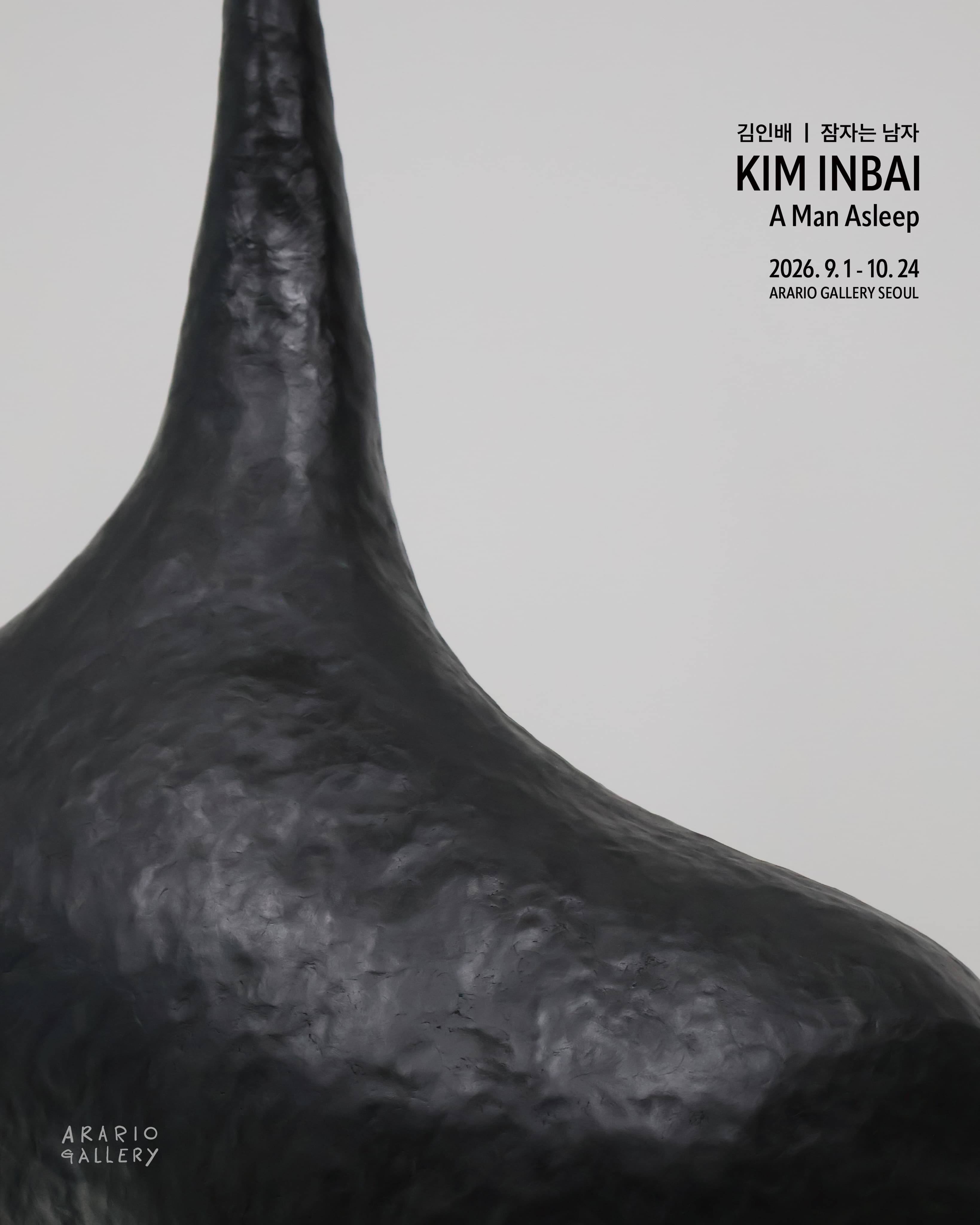 김인배 개인전: 잠자는 남자 KIM Inbai: A Man Asleep 1