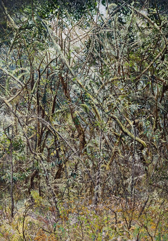 허수영  Forest3  캔버스에 유채  259×183㎝  2015