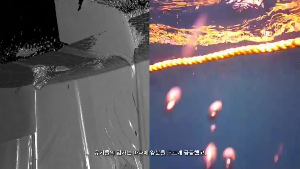 이용아 x 전승호 x 정희민: <등반가들> 영상 스틸컷 2, 2019