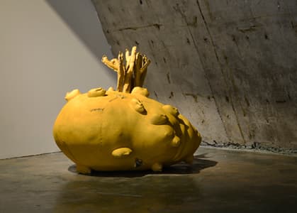 서옥순, 백일몽, 혼합재료, 80X67X67cm, 2017