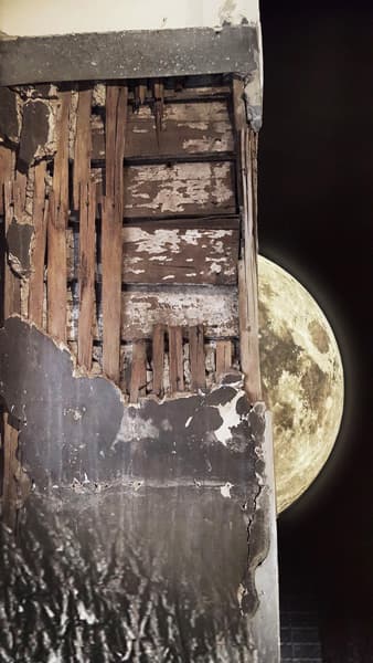 금민정, criminal column