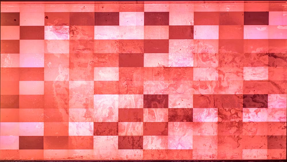 Flower 2021, 2021, 단채널 비디오, 컬러, 03분18초_detail