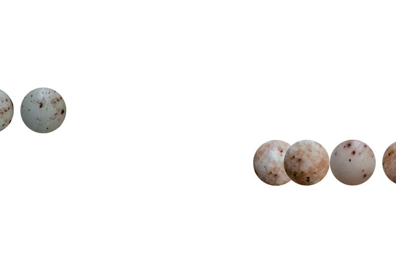 여름 시계, 2018, 디지털 프린트, 18.2 x 25.7 cm, 62EA, 가변설치