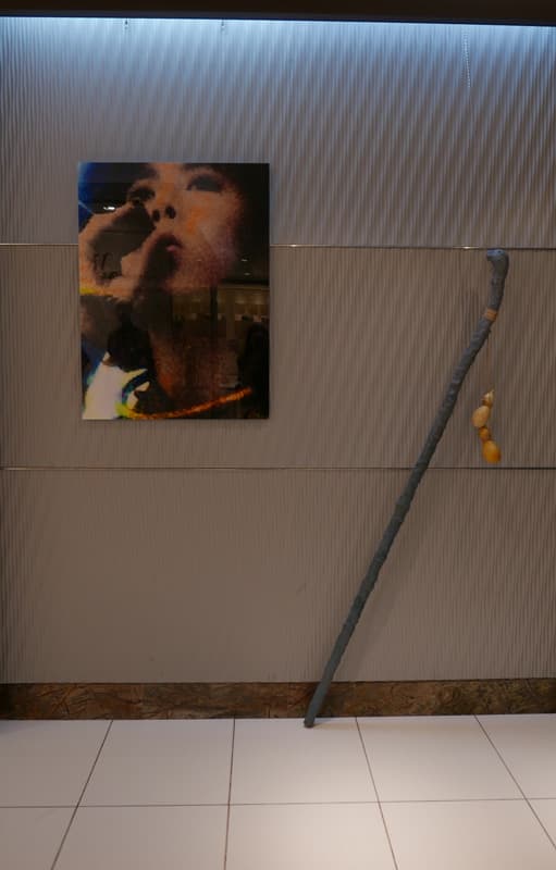 피리 A Bamboo Flute 2010, 디지털 이미지 / 지팡이 Wands 2014, 오브제 / 2019 © Rho Jae Oon 이미지 제공 롯데갤러리