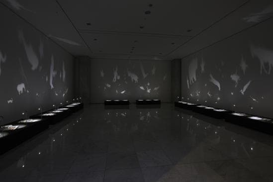 이창원, 평행세계_2012 installation_variable size
