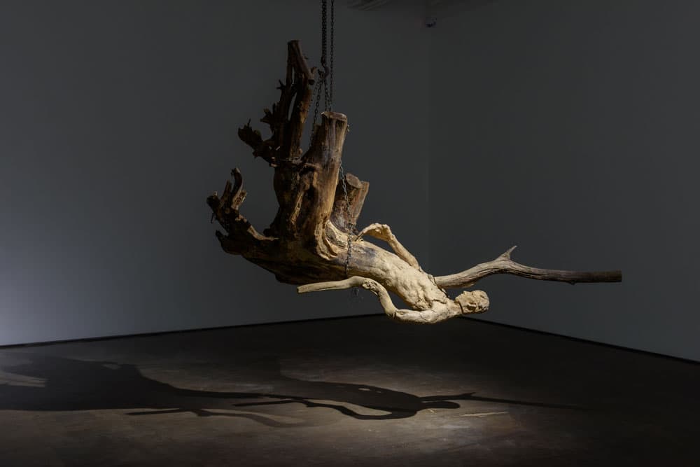 작명미상 Title Unknown, 1997, Wood, FRP, 305x157x170(h)cm