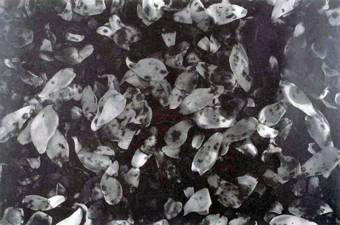 주명덕_풍경