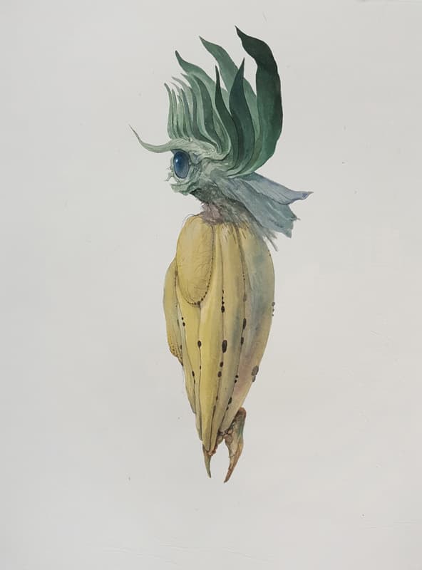 Botanimal-series_2016_화선지에-아크릴_40×30cm
