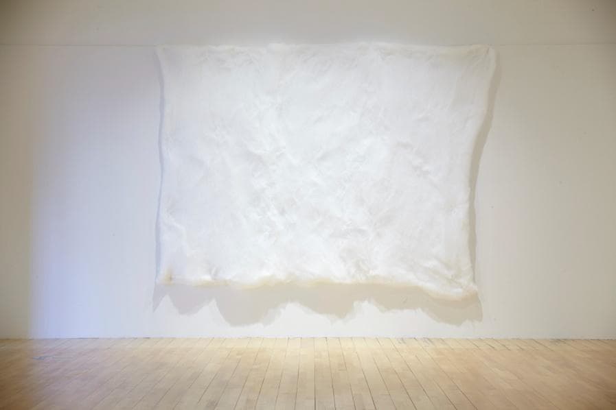 최선, 마취(痲醉) 그림, 솜 위에 마취액, 200x200cm, 2008 (2016년 재재작)