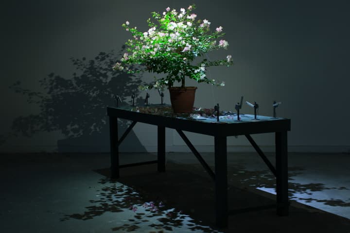 추앙 치웨이, Taiwan, <Reborn tree>, Dimensions variable, Motor, fishing line, plant, 2015