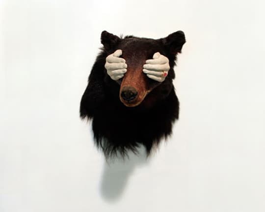 장종완_ Forever_곰 박제, 시멘트, 큐빅반지_65×45×40cm_2008