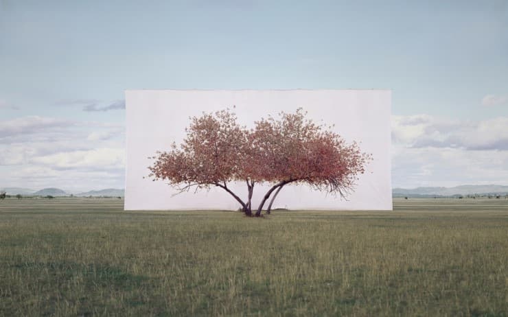 이명호, Tree...#2,2012, Ink-jet print on paper, 104x152cm
