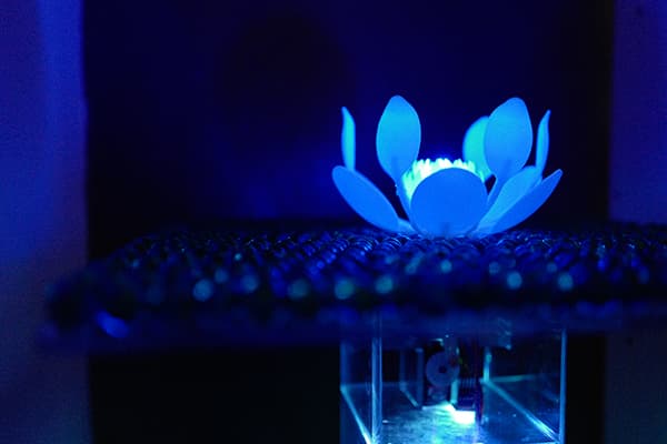 박은지_수련_Water lily_50*50*80(cm)_3D프린팅 꽃, 모터, 아크릴, 유리_2017