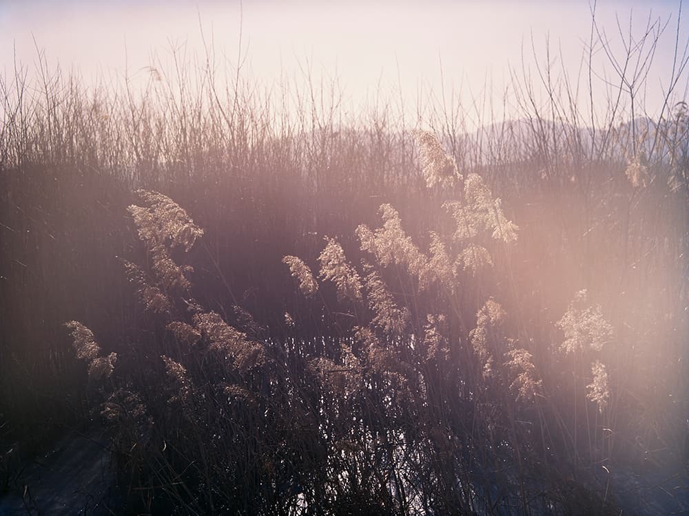 하형선, Open Road #02011605, 100 x 133cm, Archival Pigment Print, 2016