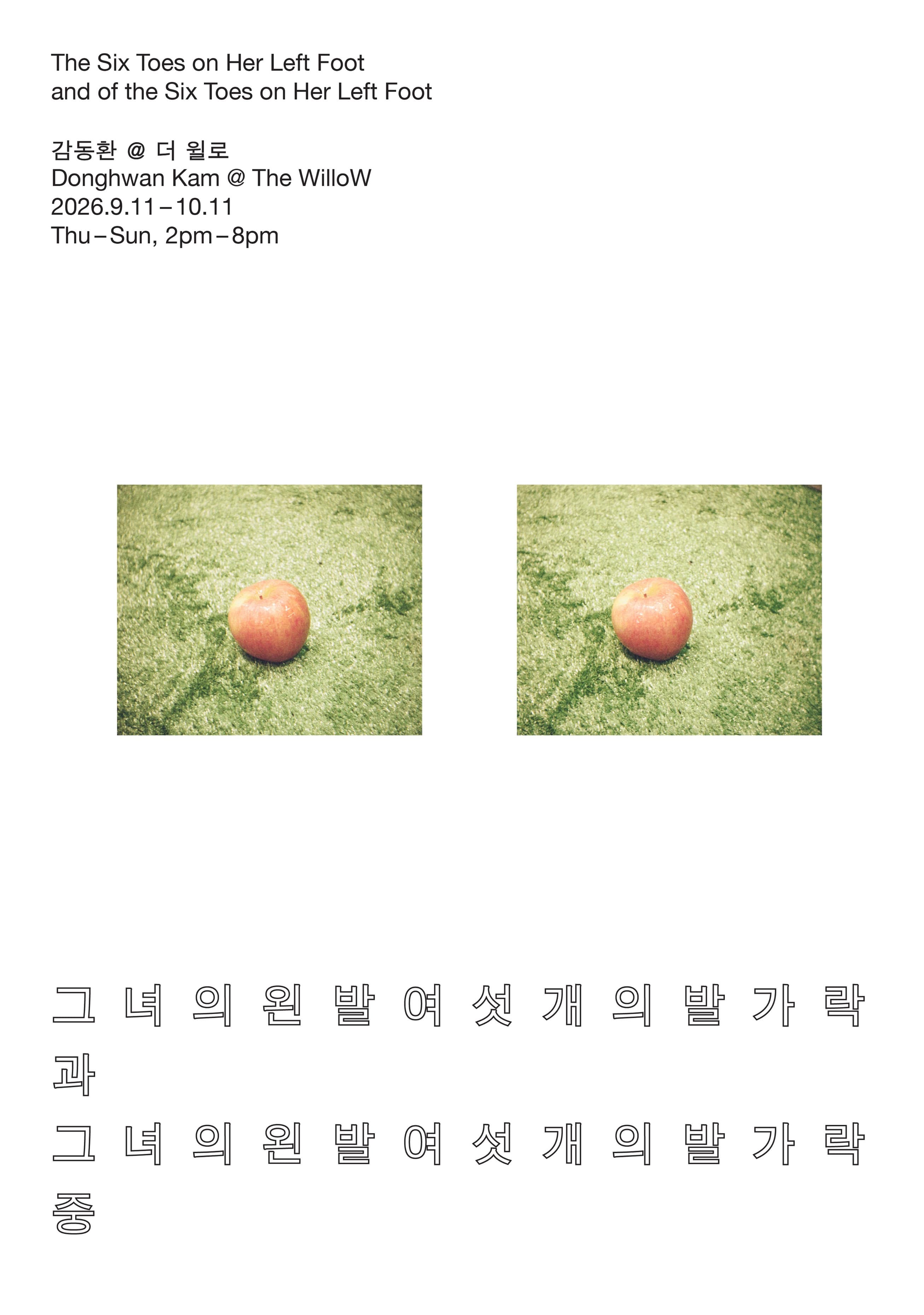 감동환 개인전: 그녀의 왼발 여섯 개의 발가락과 그녀의 왼발 여섯 개의 발가락 중 1