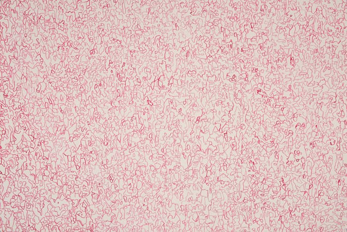 Crowd-R_75x111cm_ acrylic color on paper_2016