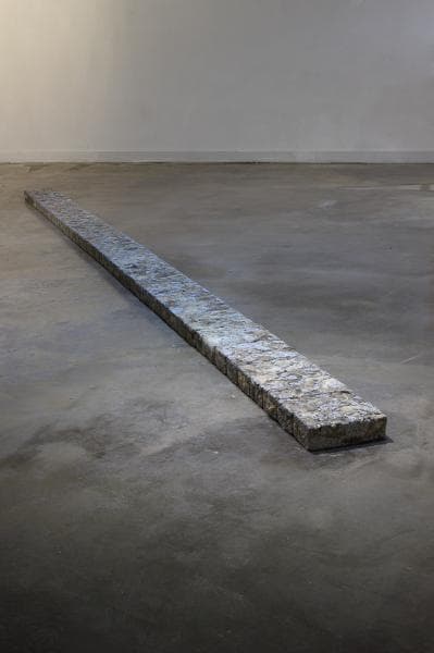 황민규, 단지 종속될 뿐이다 유기견 털, 시멘트 19x450x5cm
