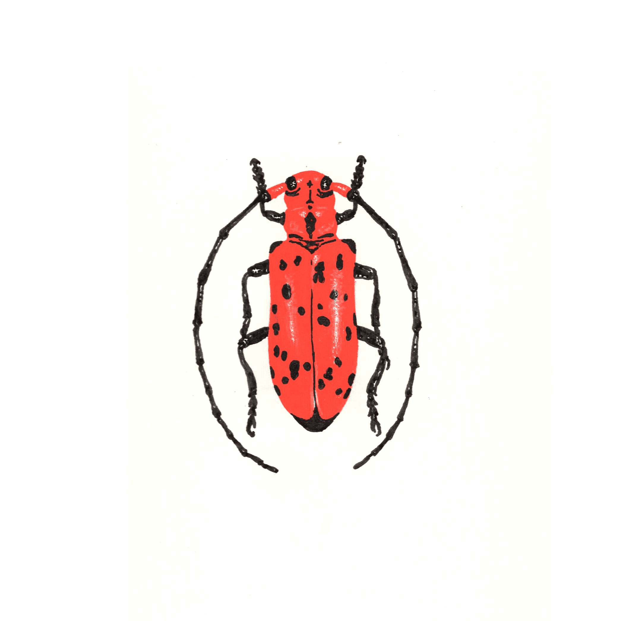 최형내_곤충채집_펜,물감_12x12cm,2018