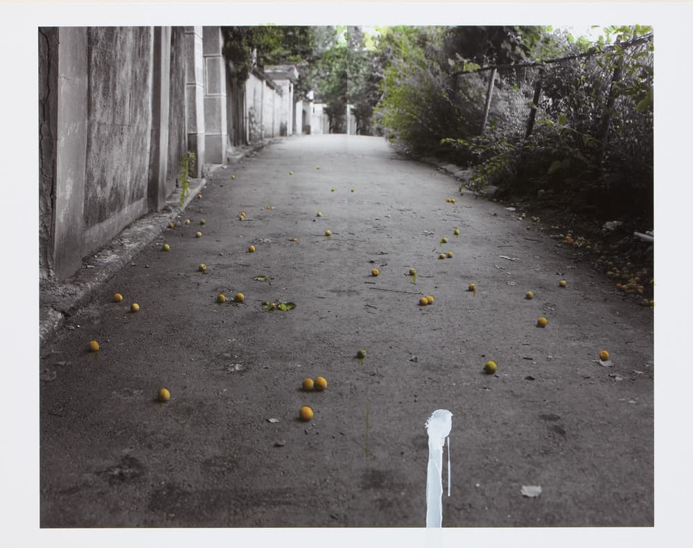 강홍구, 〈그 집 - 살구〉, 에디션 3, 2010. 피그먼트 프린트, 잉크, 아크릴, 100 x 127 cm. 이미지 출처: 원앤제이 갤러리