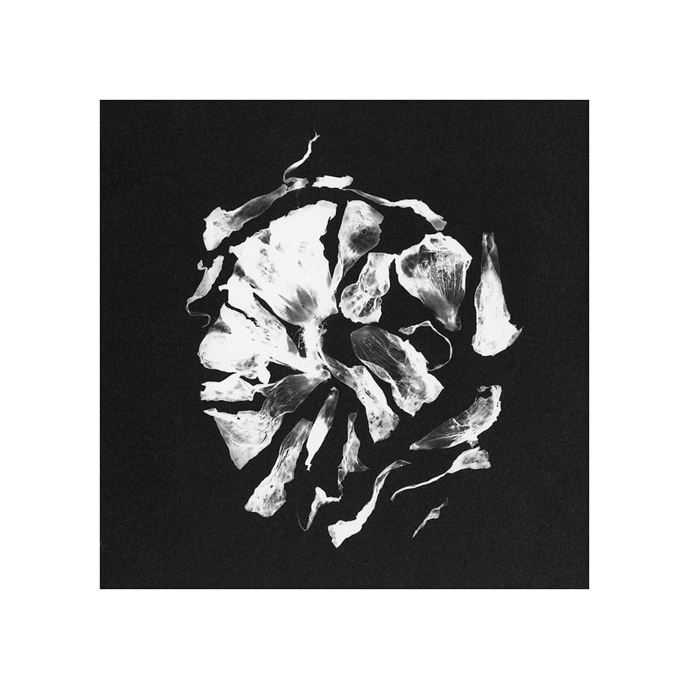 박수경, 봄 : 자국, Pigment print, 74.1 x 74.1, 2021