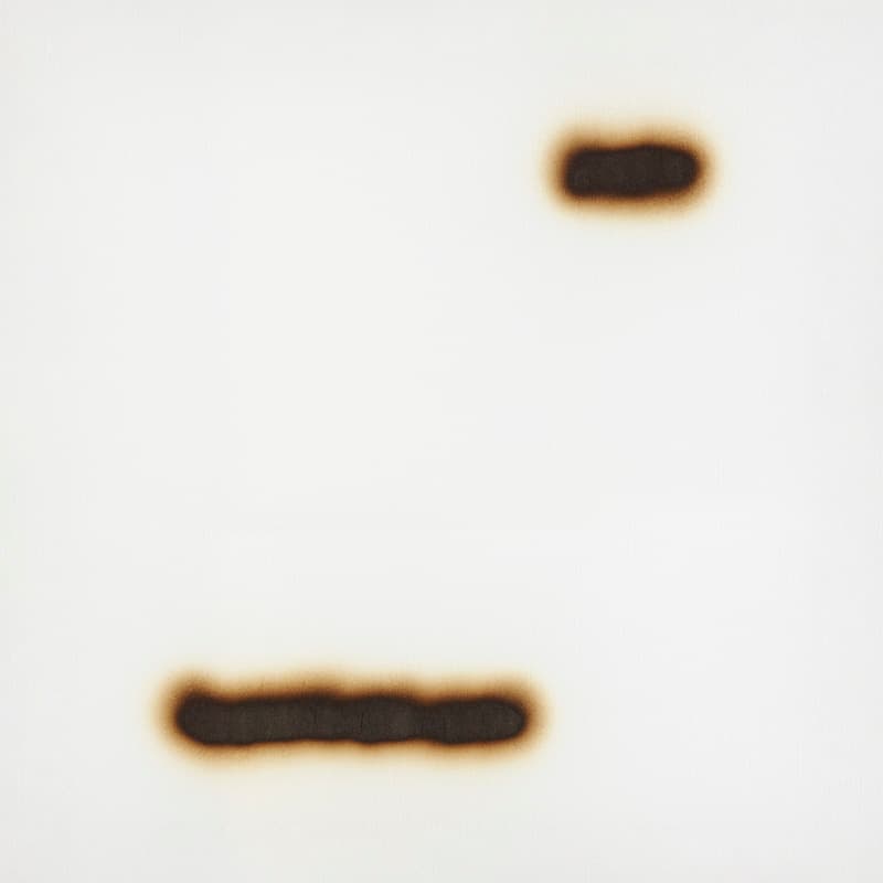 위주리, In unity there is space, heat on fabric, 90x90cm, 2021