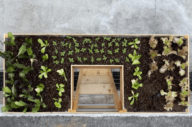 황문정, <개입, 위장, 동화>, 2016