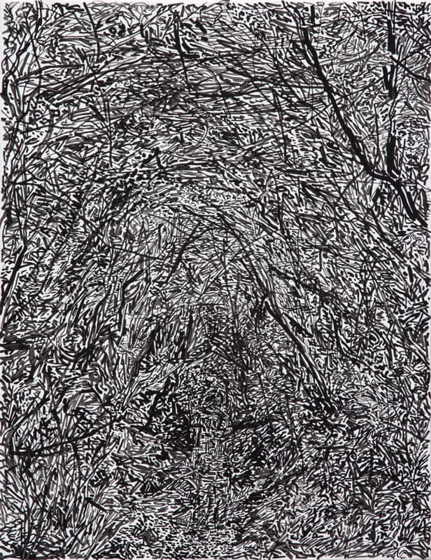 박광수, 검은 숲 속, 2017, 캔버스에 아크릴채색, 53x40.9cm