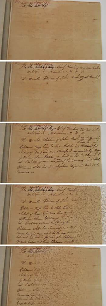 금민정, humble petition