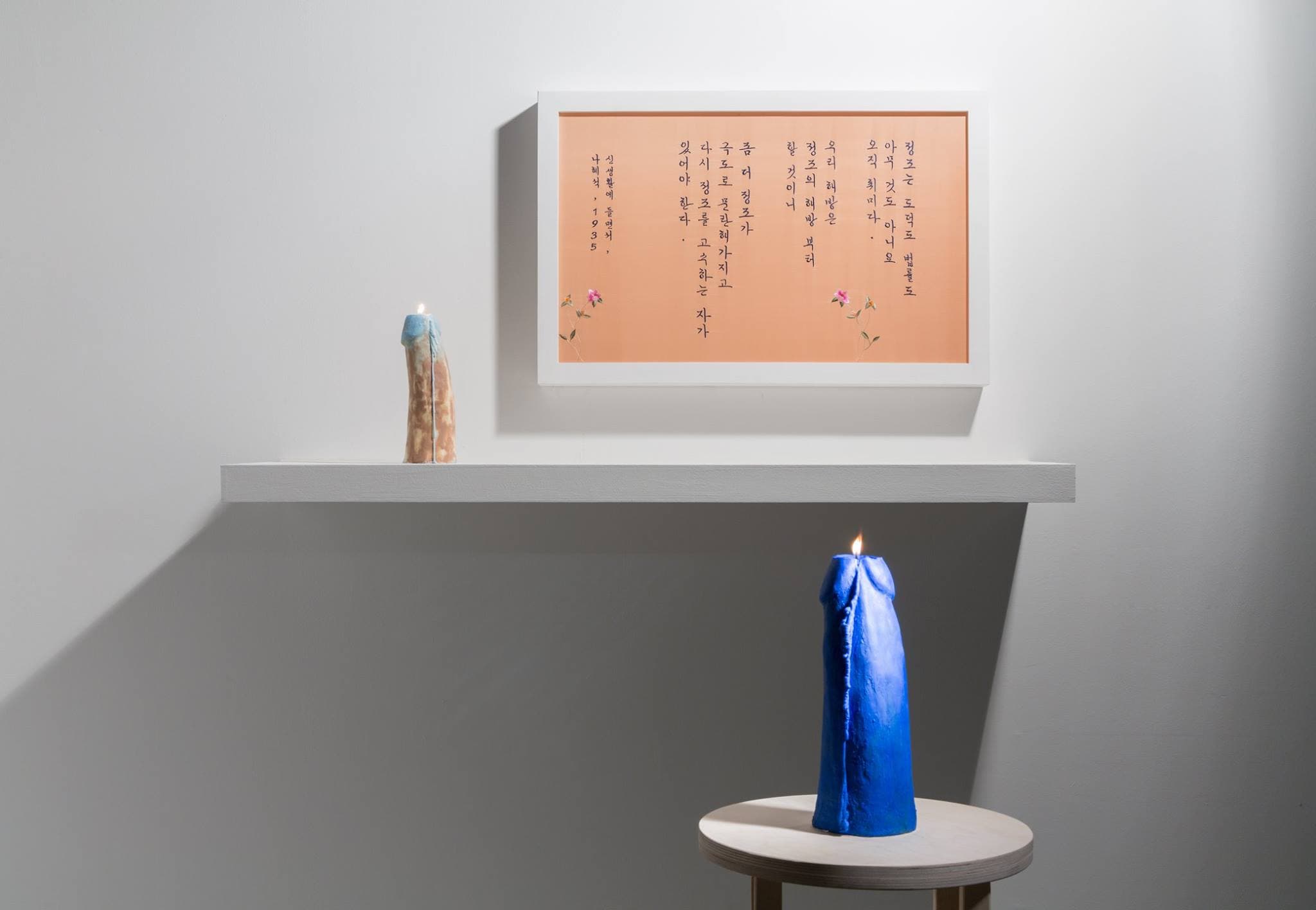 김민혜 KIM Minhae, Independent virginity, mixed media, dimensions variable, 2017