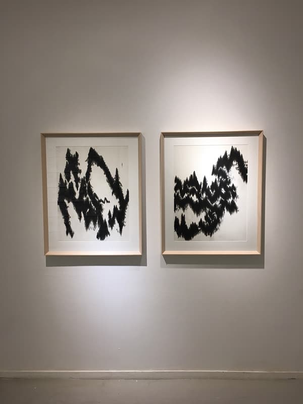 박소현_Invisible Visibles_종이에 목탄_각 61 x 46 cm_2019