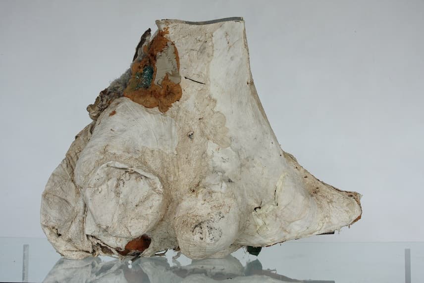 Peter Buggenhout Mont Ventoux #1 2001 Mixed media (polyester, polystyrene, polyurethane, tanned cow stomach) 83 x 110 x 48 cm © Peter Buggenhout