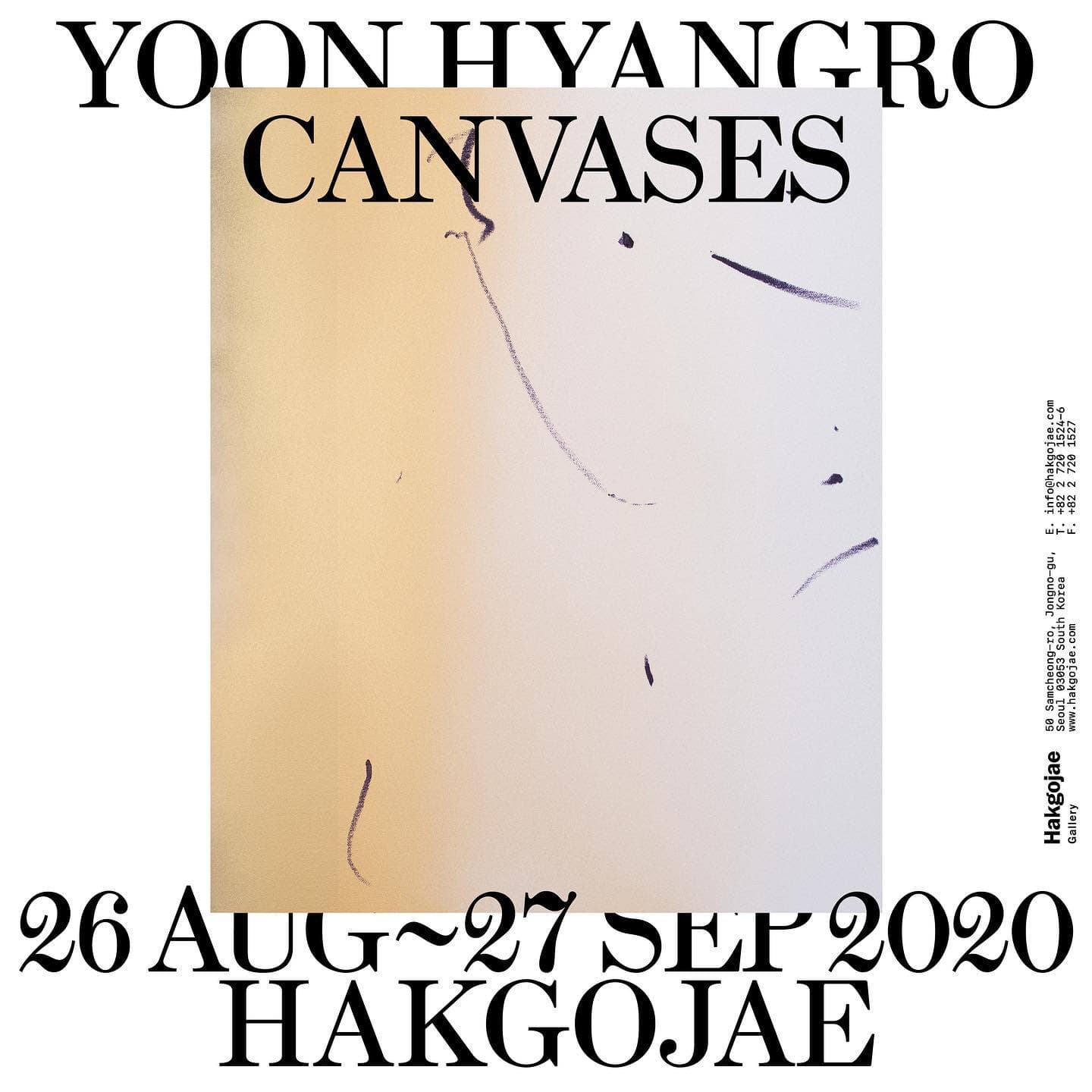 윤향로 개인전 : 캔버스들 YOON Hyangro : Canvases 1