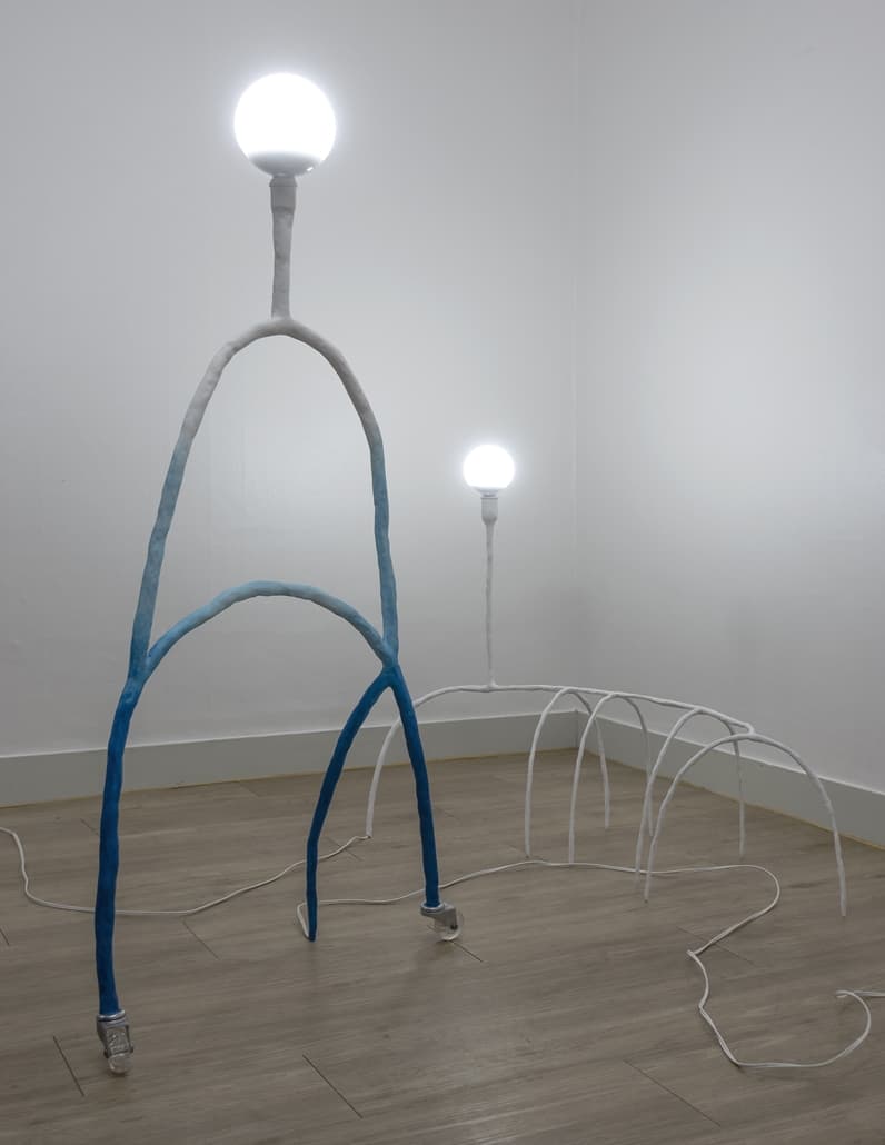 이가람 작은 불운 (천장에 물이 새는데요) 2019 혼합재료 60x12x120, 40x90x75cm
