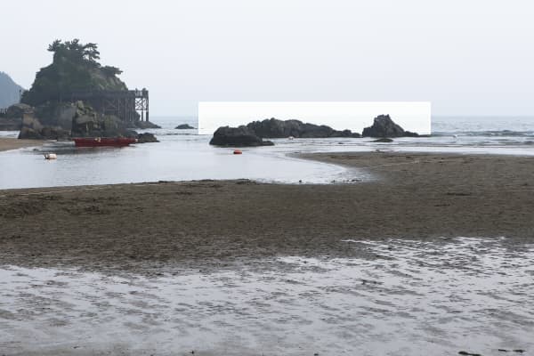 이명호, 다대포 돌