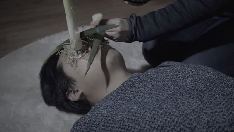 채집망 프로젝트, 환풍, 단채널 비디오, 07:28, 2018